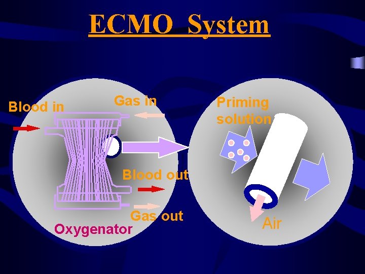 ECMO System Blood in Gas in Priming solution Blood out Gas out Oxygenator Air