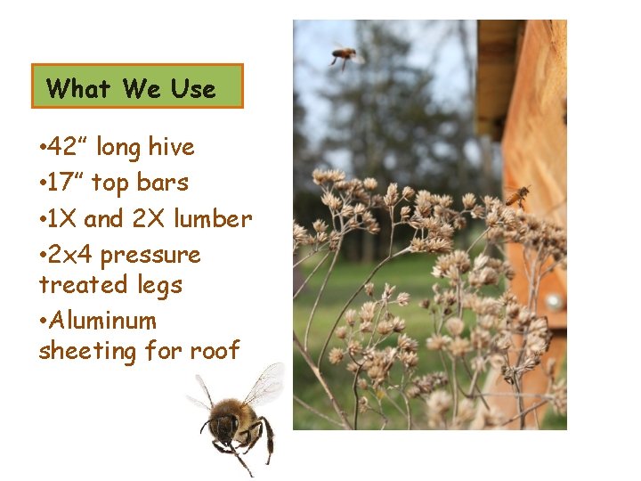 What We Use • 42” long hive • 17” top bars • 1 X