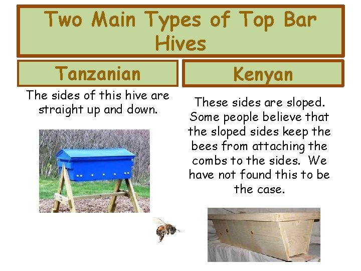 Two Main Types of Top Bar Hives Tanzanian The sides of this hive are