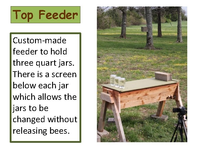 Top Feeder Custom-made feeder to hold three quart jars. There is a screen below