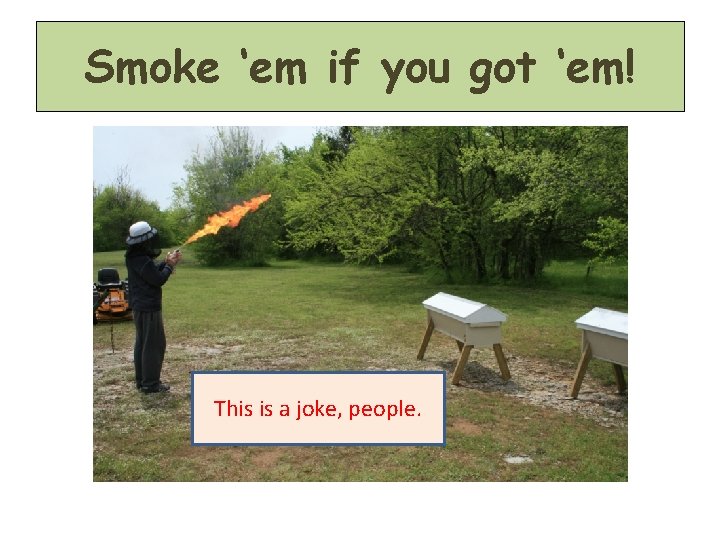 Smoke ‘em if you got ‘em! This is a joke, people. 