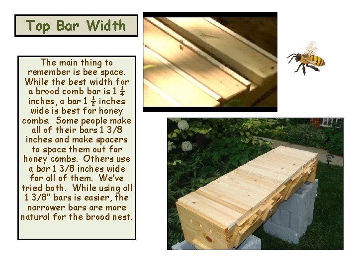 Top Bar Width The main thing to remember is bee space. While the best