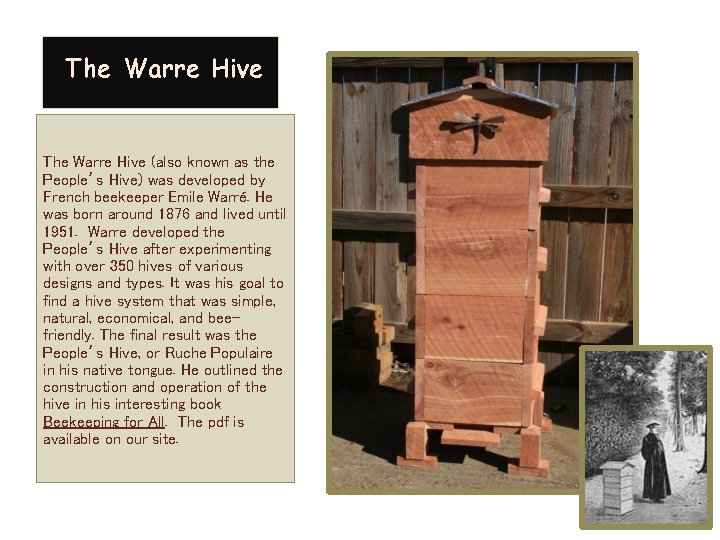 The Warre Hive (also known as the People’s Hive) was developed by French beekeeper