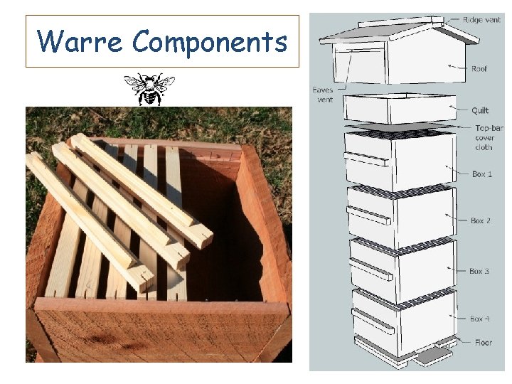 Warre Components 