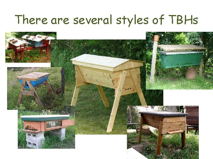 There are several styles of TBHs 
