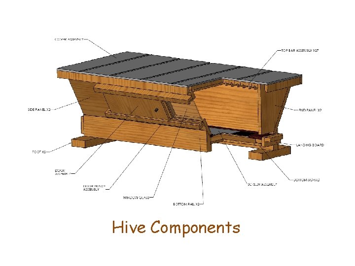 Hive Components 