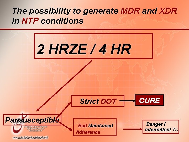 The possibility to generate MDR and XDR in NTP conditions 2 HRZE / 4