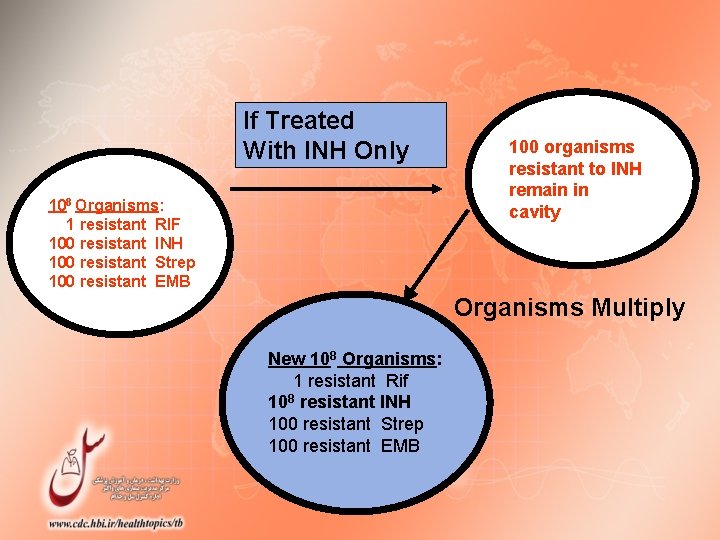 If Treated With INH Only 108 Organisms: 1 resistant RIF 100 resistant INH 100