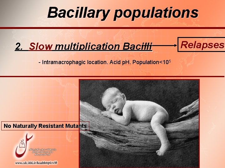 Bacillary populations 2. Slow multiplication Bacilli - Intramacrophagic location. Acid p. H. Population<105 No