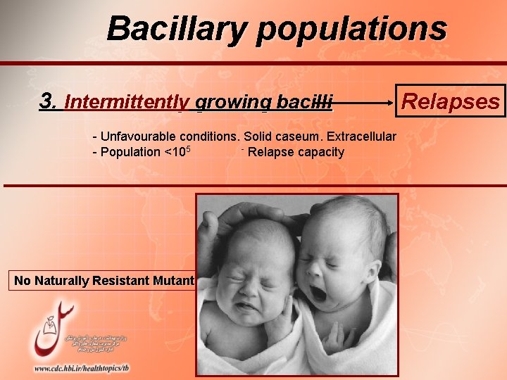 Bacillary populations 3. Intermittently growing bacilli - Unfavourable conditions. Solid caseum. Extracellular - Relapse