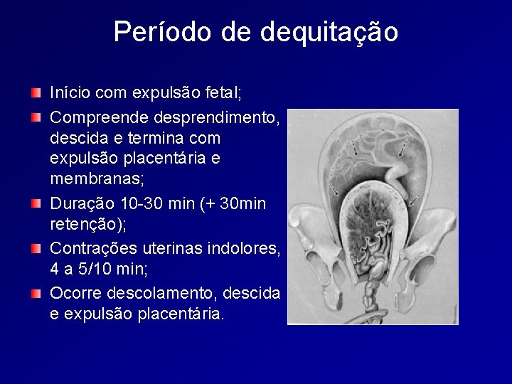 Período de dequitação Início com expulsão fetal; Compreende desprendimento, descida e termina com expulsão