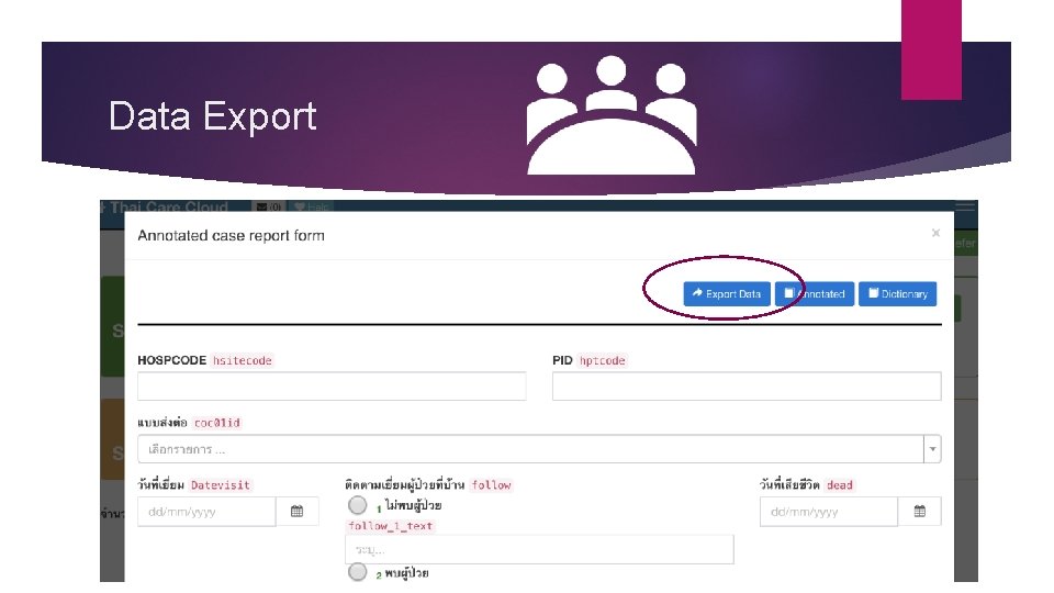 Data Export 