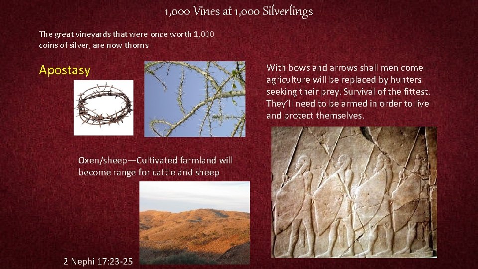 1, 000 Vines at 1, 000 Silverlings The great vineyards that were once worth