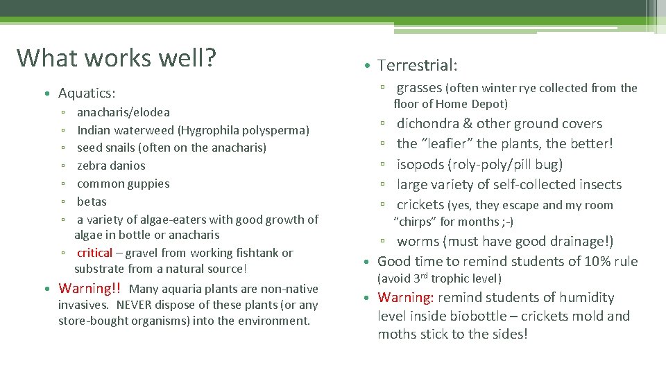 What works well? • Aquatics: anacharis/elodea Indian waterweed (Hygrophila polysperma) seed snails (often on