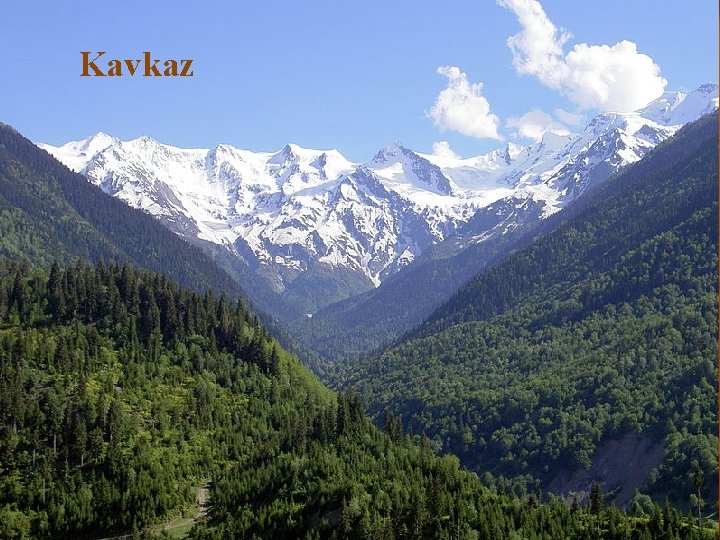 Kavkaz 