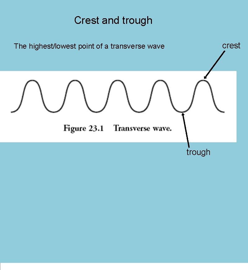 Crest and trough crest The highest/lowest point of a transverse wave trough 