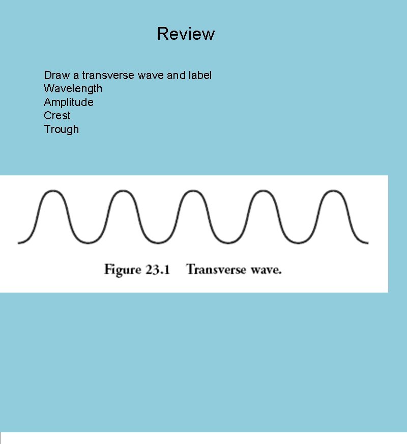 Review Draw a transverse wave and label Wavelength Amplitude Crest Trough 