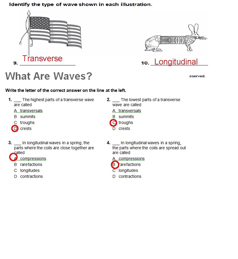 Transverse Longitudinal 