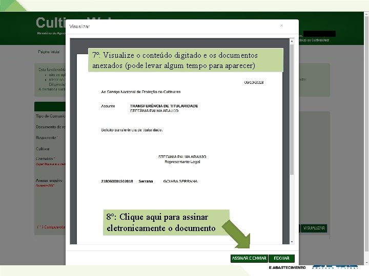 7º: Visualize o conteúdo digitado e os documentos anexados (pode levar algum tempo para