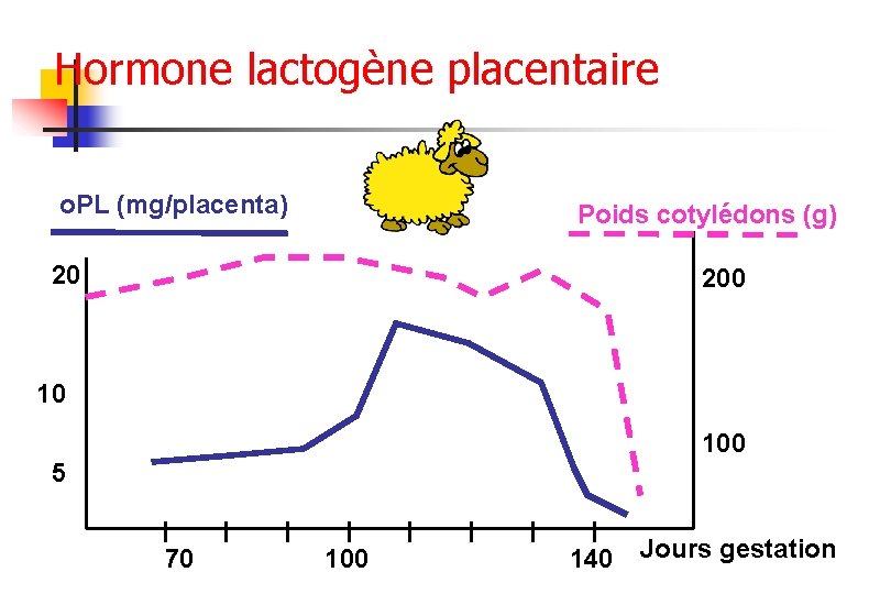 Hormone lactogène placentaire o. PL (mg/placenta) Poids cotylédons (g) 20 200 10 100 5