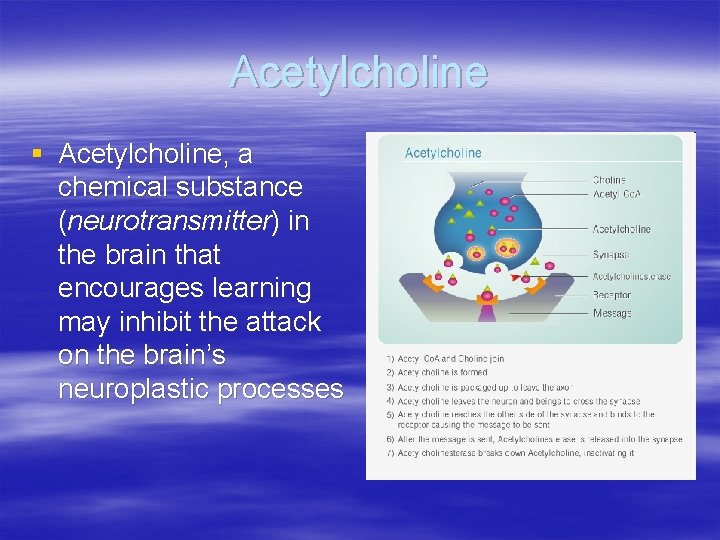 Acetylcholine § Acetylcholine, a chemical substance (neurotransmitter) in the brain that encourages learning may