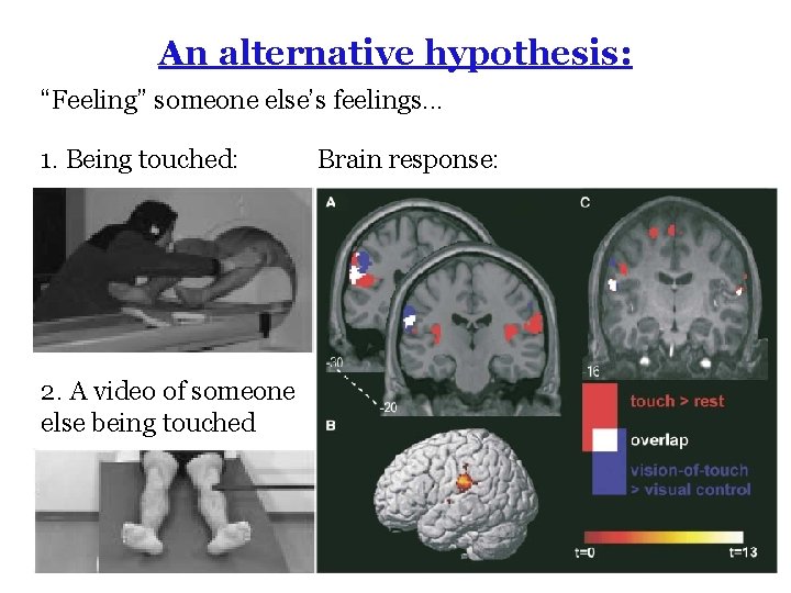 An alternative hypothesis: “Feeling” someone else’s feelings. . . 1. Being touched: 2. A