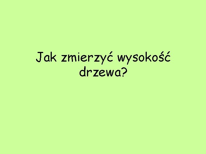 Jak zmierzyć wysokość drzewa? 