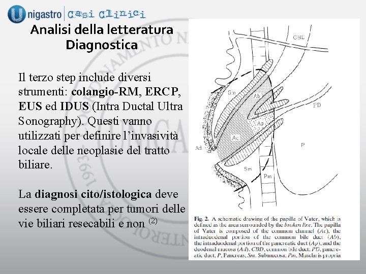 Analisi della letteratura Diagnostica Il terzo step include diversi strumenti: colangio-RM, ERCP, EUS ed