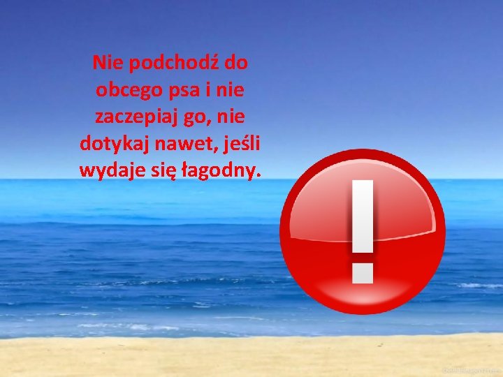 Nie podchodź do obcego psa i nie zaczepiaj go, nie dotykaj nawet, jeśli wydaje