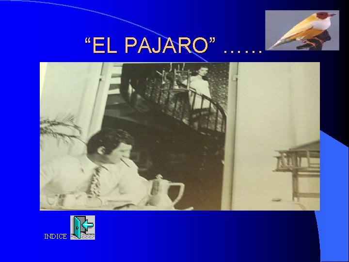 “EL PAJARO” …… INDICE 