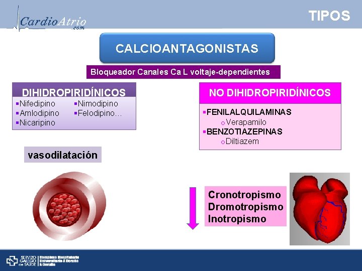 TIPOS CALCIOANTAGONISTAS Bloqueador Canales Ca L voltaje-dependientes DIHIDROPIRIDÍNICOS §Nifedipino §Amlodipino §Nicaripino §Nimodipino §Felodipino… NO