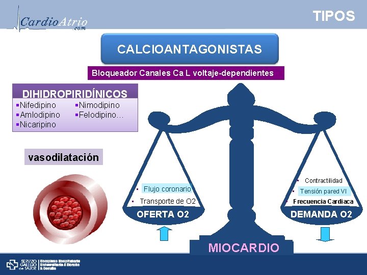 TIPOS CALCIOANTAGONISTAS Bloqueador Canales Ca L voltaje-dependientes DIHIDROPIRIDÍNICOS §Nifedipino §Amlodipino §Nicaripino §Nimodipino §Felodipino… vasodilatación