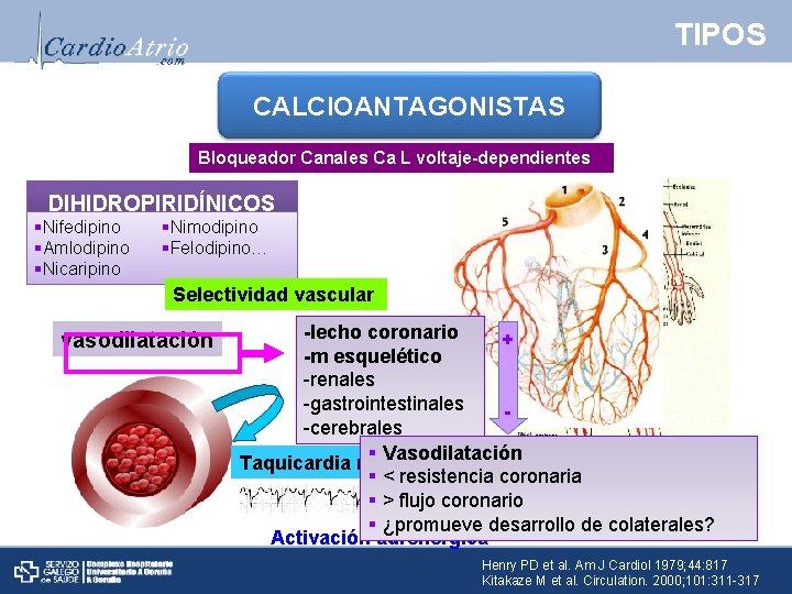 TIPOS CALCIOANTAGONISTAS Bloqueador Canales Ca L voltaje-dependientes DIHIDROPIRIDÍNICOS §Nifedipino §Amlodipino §Nicaripino §Nimodipino §Felodipino… Selectividad