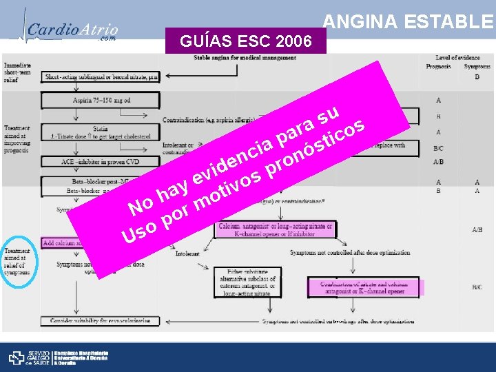 GUÍAS ESC 2006 ANGINA ESTABLE u s ra icos a p t a s