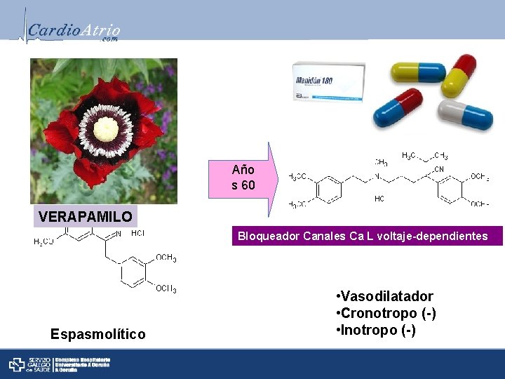 Año s 60 PAPAVERINA VERAPAMILO Bloqueador Canales Ca L voltaje-dependientes Espasmolítico • Vasodilatador •