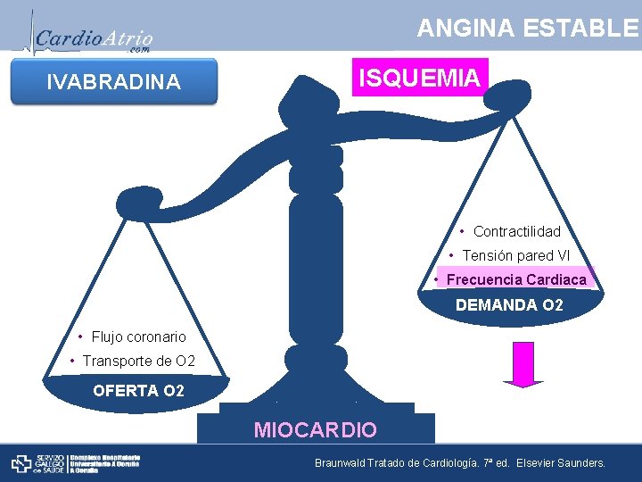 ANGINA ESTABLE IVABRADINA ISQUEMIA • Contractilidad • Tensión pared VI • Frecuencia Cardiaca DEMANDA