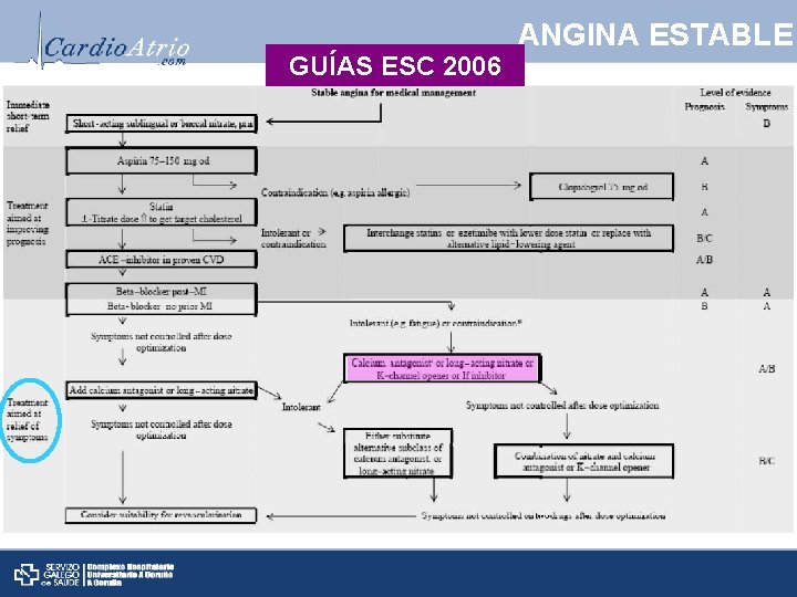 GUÍAS ESC 2006 ANGINA ESTABLE 
