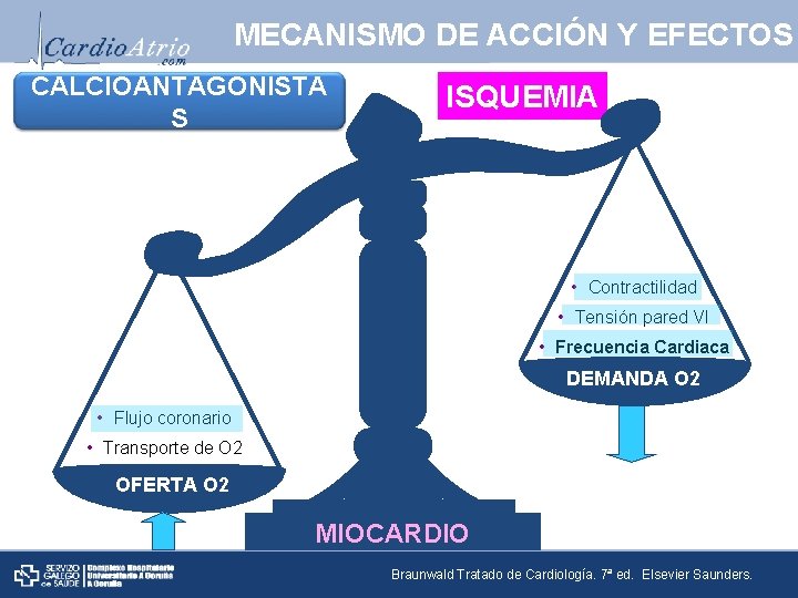 MECANISMO DE ACCIÓN Y EFECTOS CALCIOANTAGONISTA S ISQUEMIA • Contractilidad • Tensión pared VI