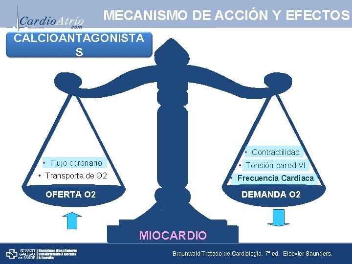 MECANISMO DE ACCIÓN Y EFECTOS CALCIOANTAGONISTA S • Contractilidad • Flujo coronario • Tensión