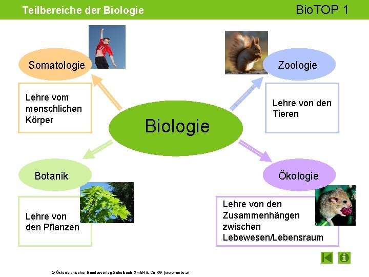 Teilbereiche der Biologie schrittweiser Aufbau des Tafelbildes vollstndige