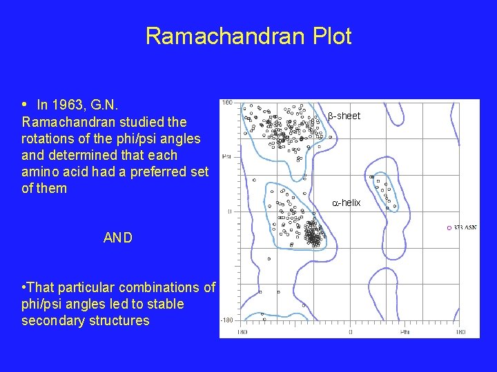 Ramachandran Plot • In 1963, G. N. Ramachandran studied the rotations of the phi/psi