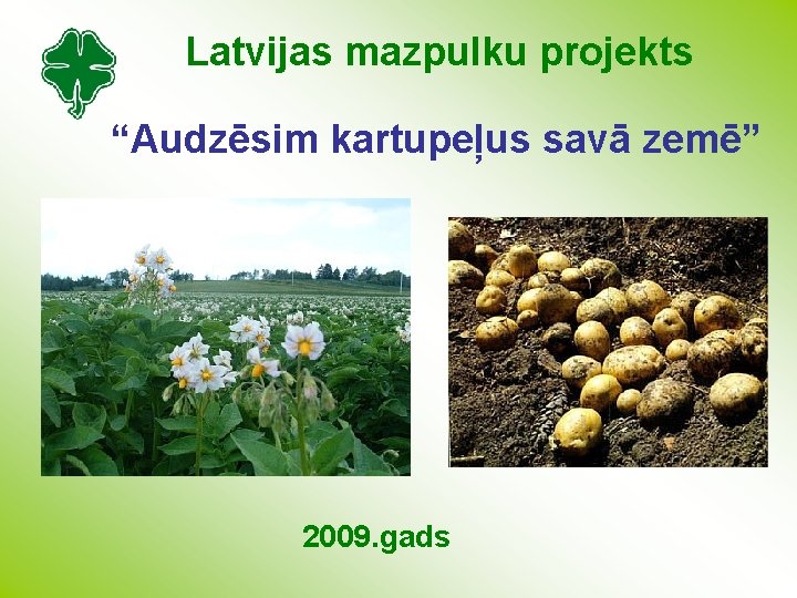 Latvijas mazpulku projekts “Audzēsim kartupeļus savā zemē” 2009. gads 