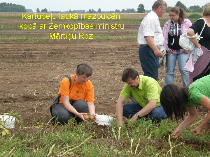 Kartupeļu laukā mazpulcēni kopā ar Zemkopības ministru Mārtiņu Rozi 