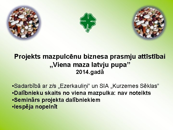 Projekts mazpulcēnu biznesa prasmju attīstībai „Viena maza latvju pupa” 2014. gadā • Sadarbībā ar