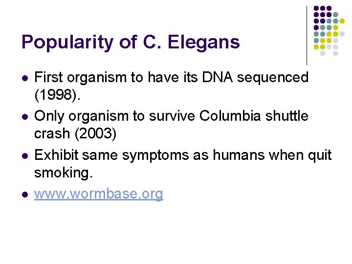 Popularity of C. Elegans l l First organism to have its DNA sequenced (1998).