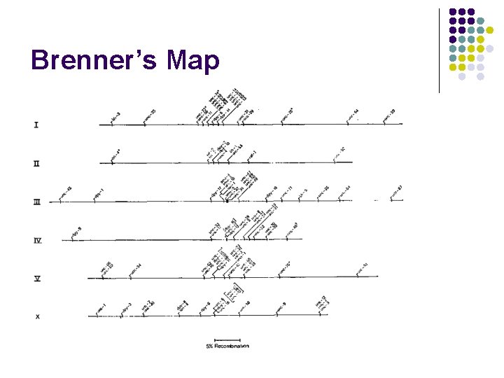 Brenner’s Map 