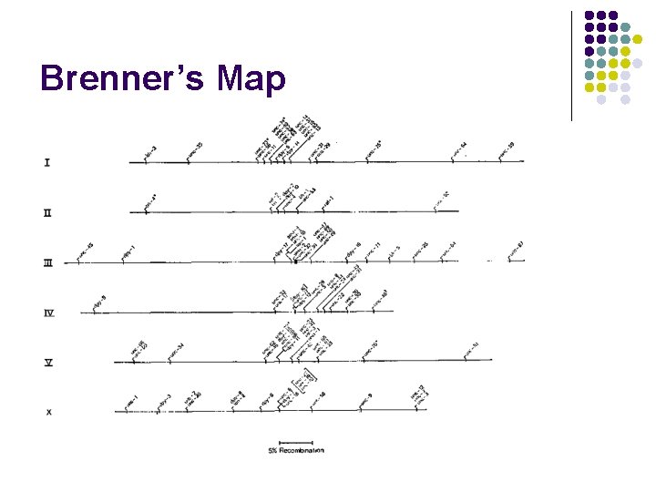 Brenner’s Map 