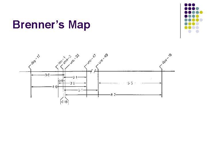 Brenner’s Map 