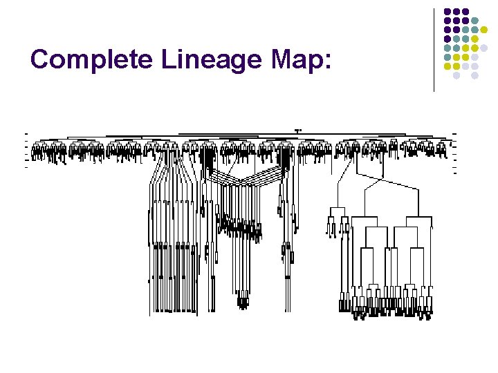 Complete Lineage Map: 