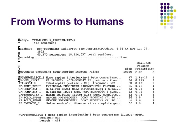 From Worms to Humans 